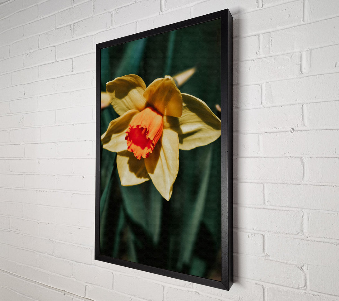  A Canvas Print of Yellow Bloom'S Embrace Canvas Wall Art
