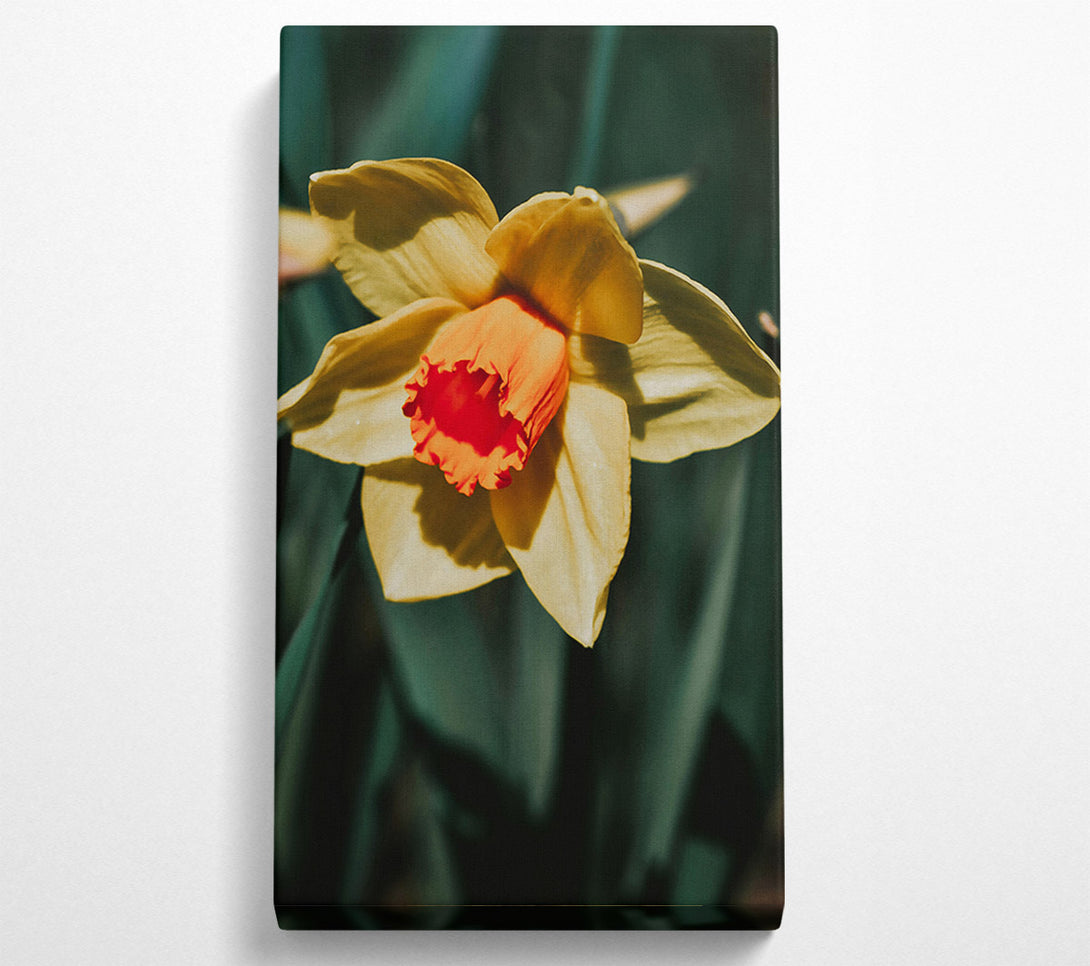  A Canvas Print of Yellow Bloom'S Embrace Canvas Wall Art