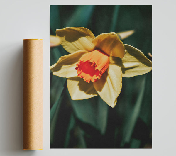 Yellow Bloom'S Embrace Print