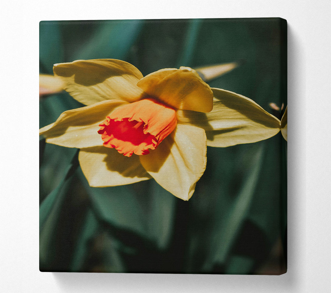  A Canvas Print of Yellow Bloom'S Embrace Canvas Wall Art