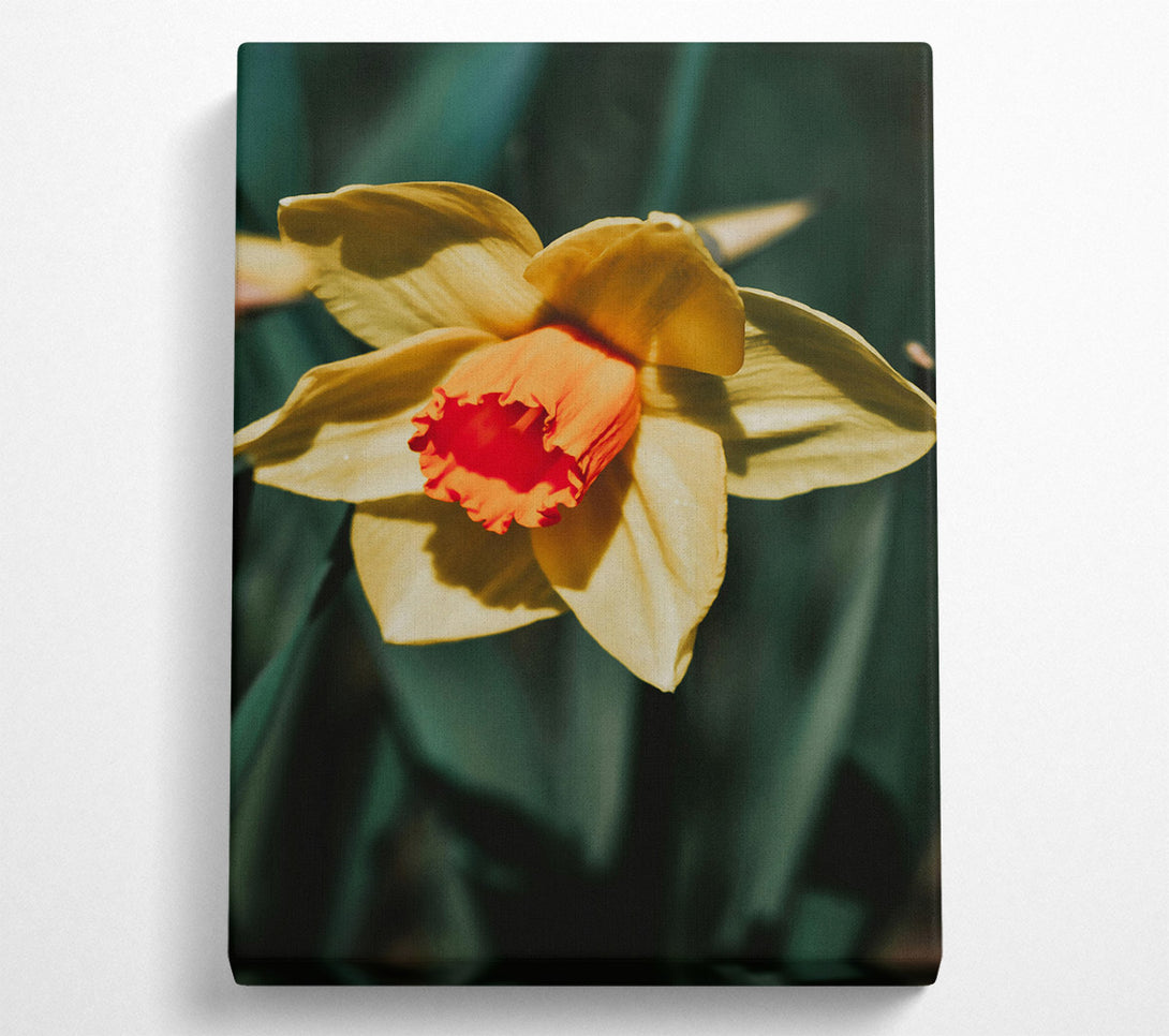  A Canvas Print of Yellow Bloom'S Embrace Canvas Wall Art