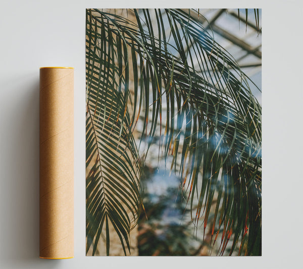 Green Palm Reflection Poster
