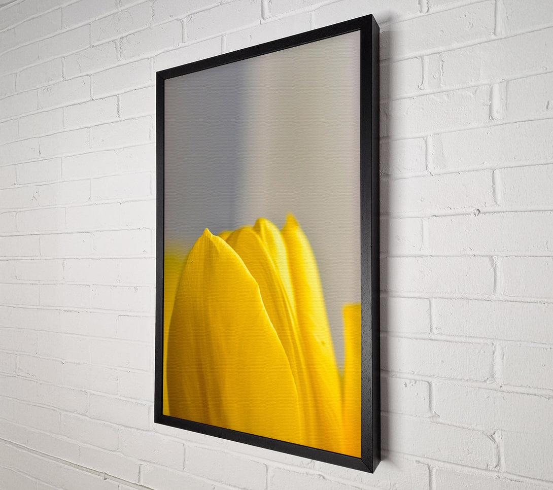  A Canvas Print of Golden Petal Embrace Canvas Wall Art