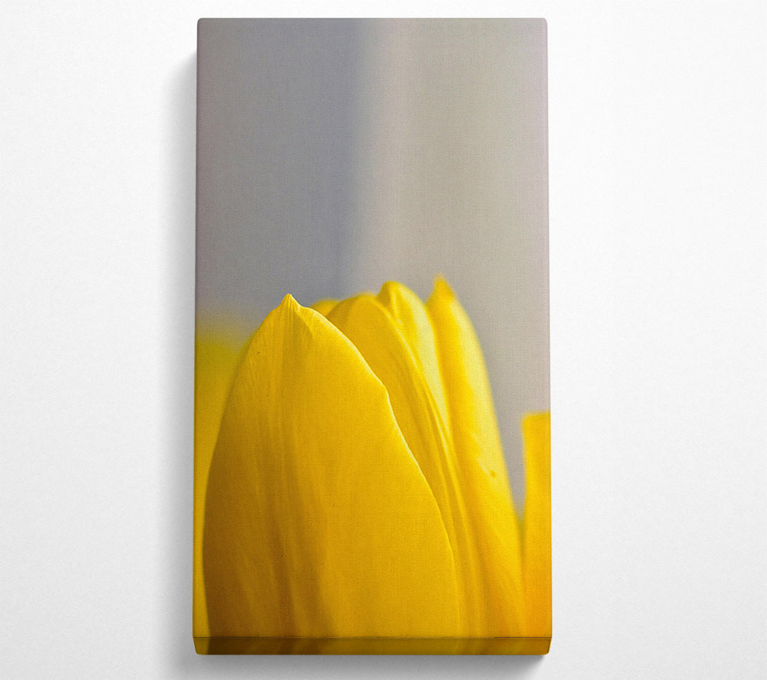  A Canvas Print of Golden Petal Embrace Canvas Wall Art