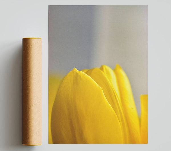 Golden Petal Embrace Poster