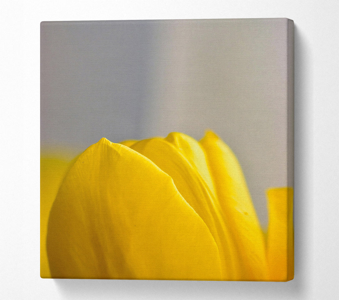  A Canvas Print of Golden Petal Embrace Canvas Wall Art