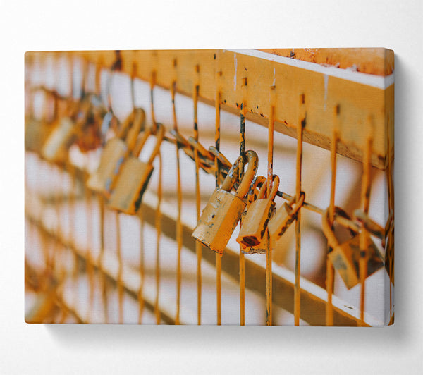  A Canvas Print of Golden Love Locks Canvas Art