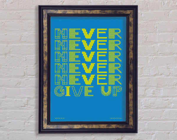 Never Give Up Framed Print