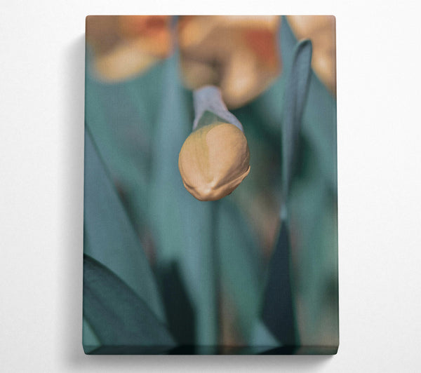 A Canvas Print of Green Budding Bloom Canvas Art