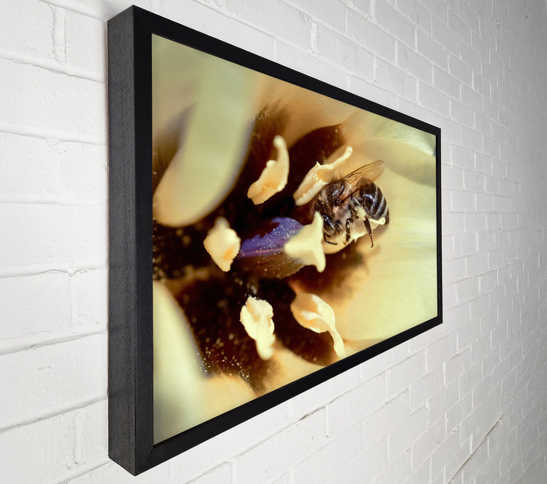  A Canvas Print of Golden Pollen Dust Canvas Wall Art