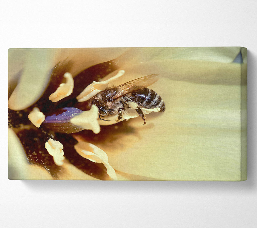  A Canvas Print of Golden Pollen Dust Canvas Wall Art