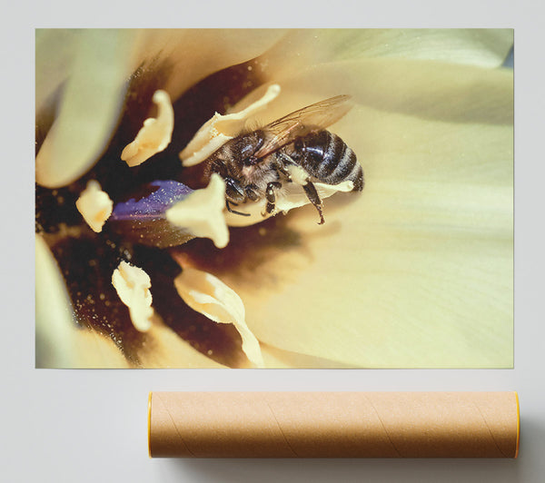 Golden Pollen Dust Print