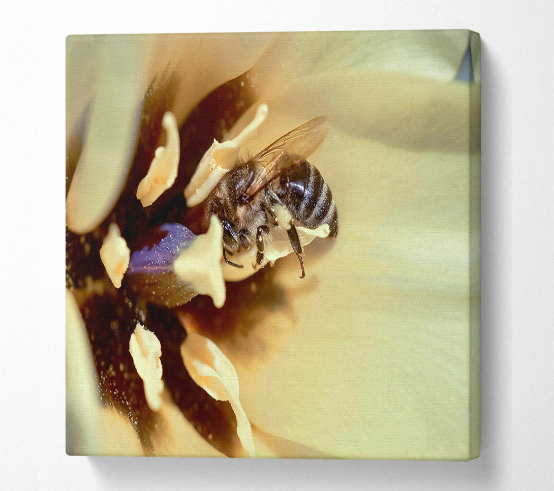  A Canvas Print of Golden Pollen Dust Canvas Wall Art