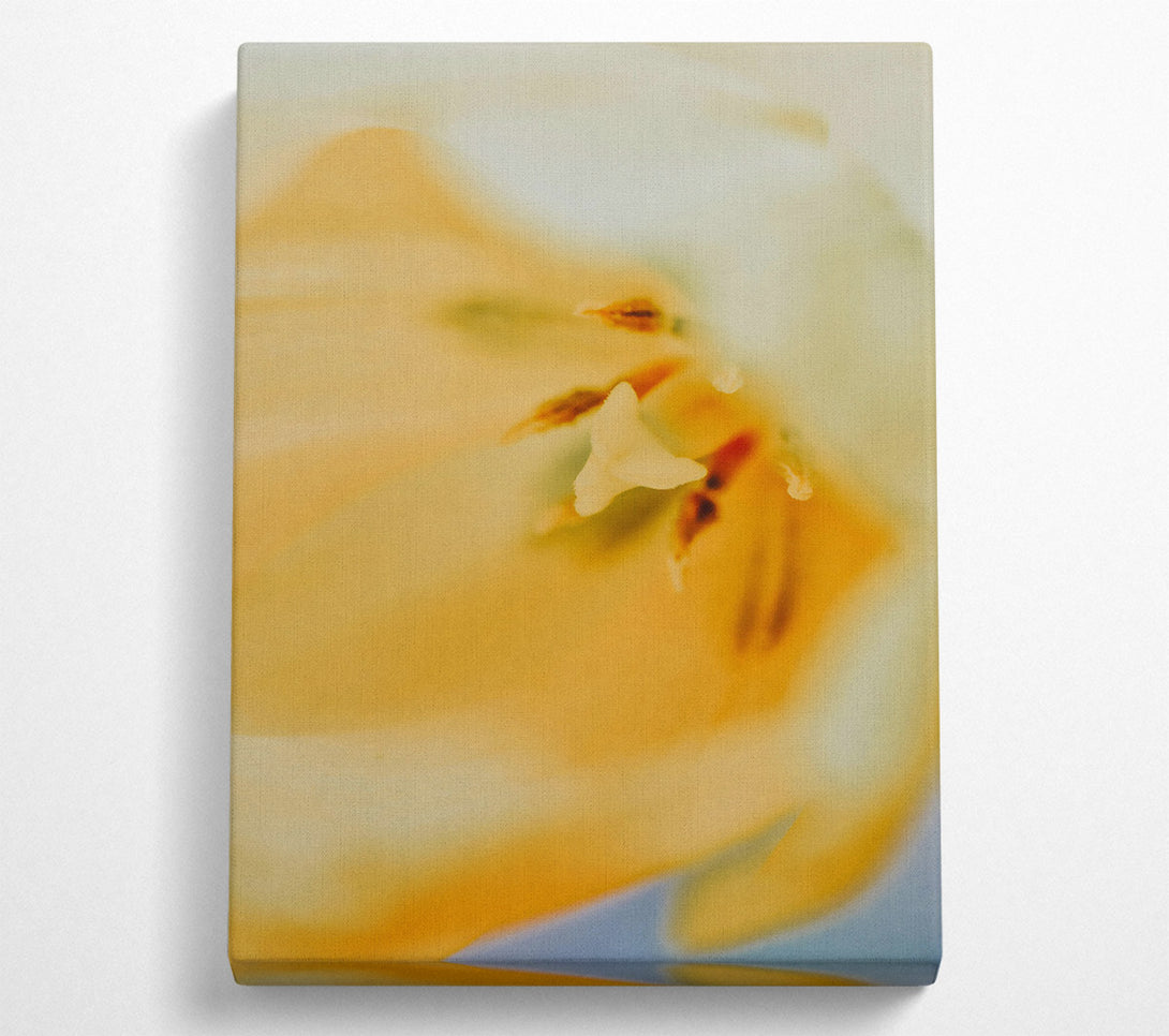  A Canvas Print of Golden Petal Embrace Canvas Print