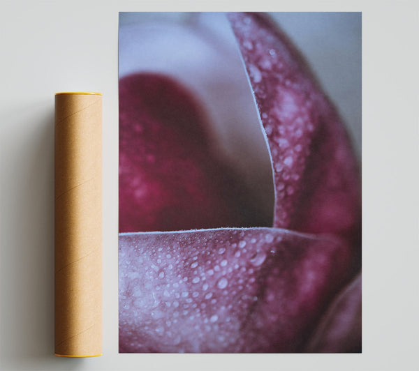 Crimson Dewdrop Embrace Poster
