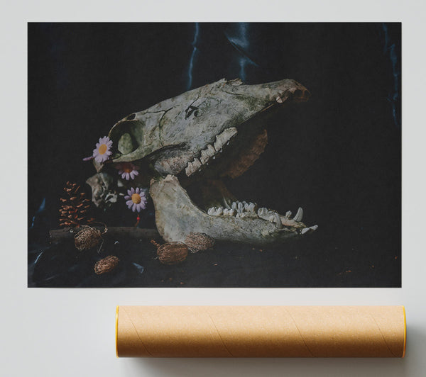 White Skull And Flowers Poster