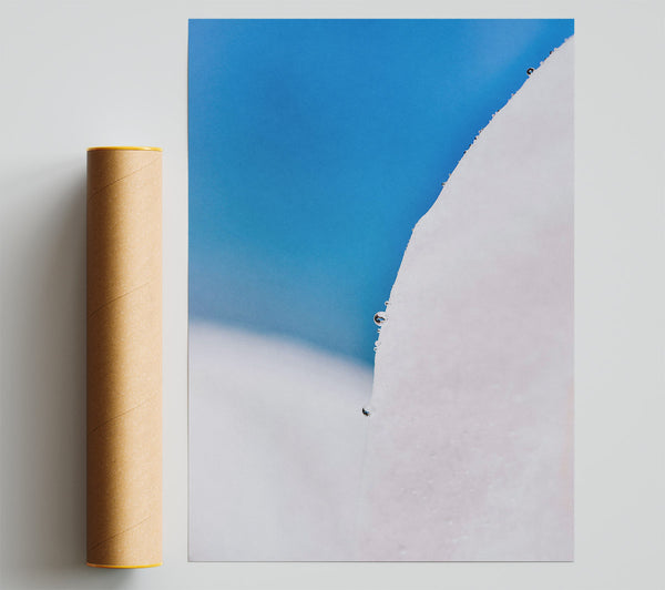 Blue And White Dewdrop Giclee Print