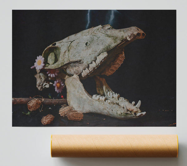 Pale Bone & Bloom Poster