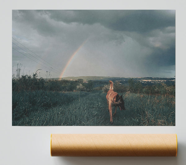Green Dog Rainbow Walk Print