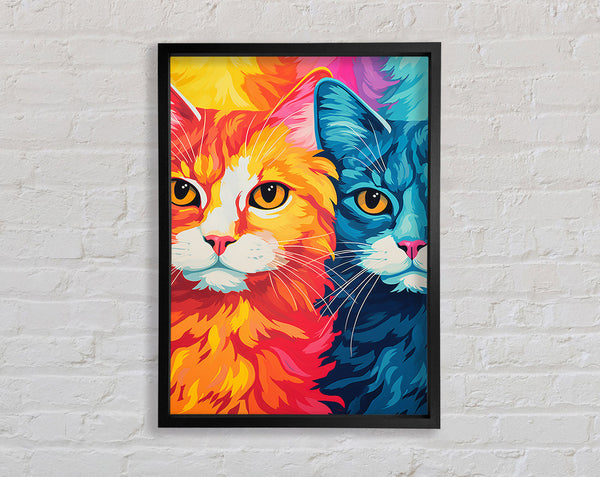 Orange And Blue Cat