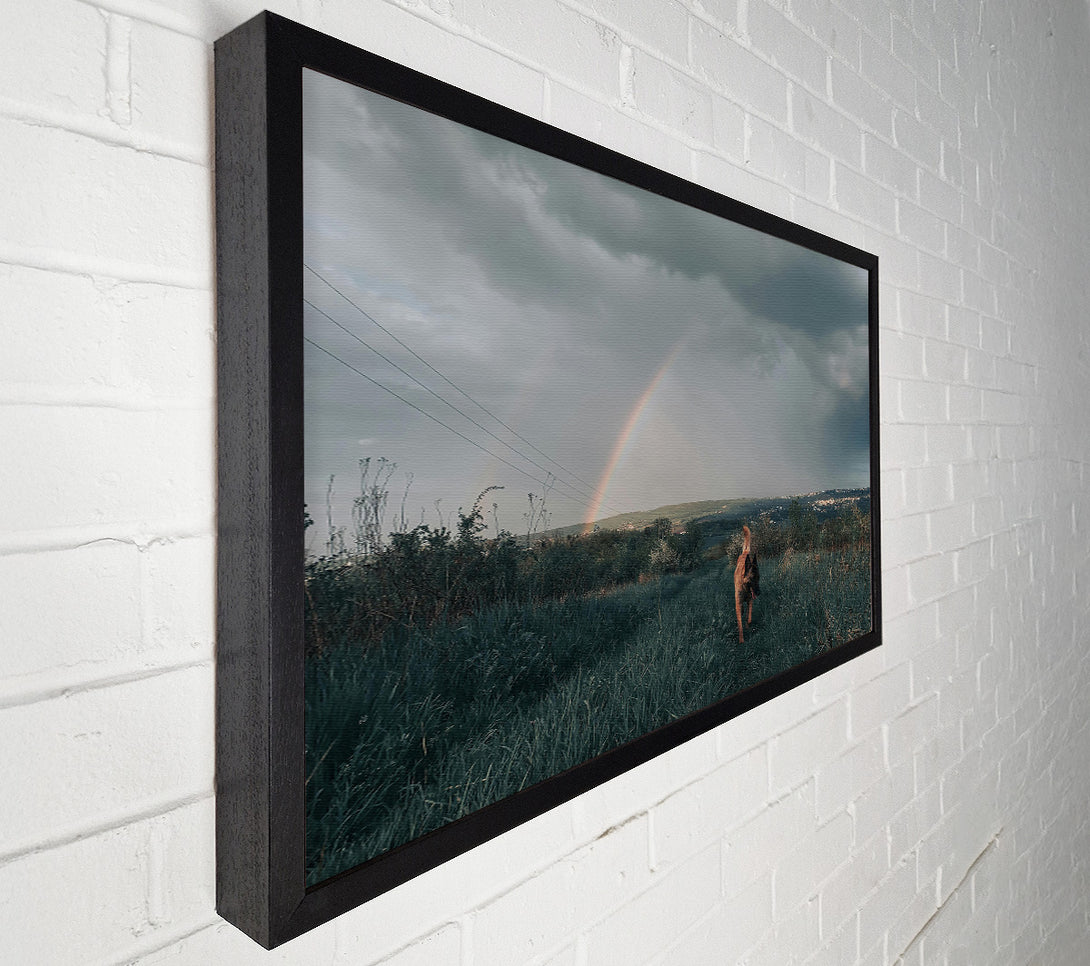  A Canvas Print of Green Dog Rainbow Canvas Art