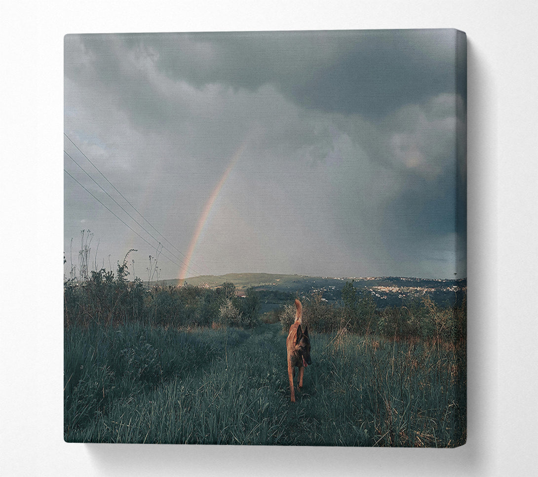 A Canvas Print of Green Dog Rainbow Canvas Art