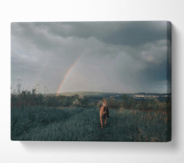  A Canvas Print of Green Dog Rainbow Canvas Art