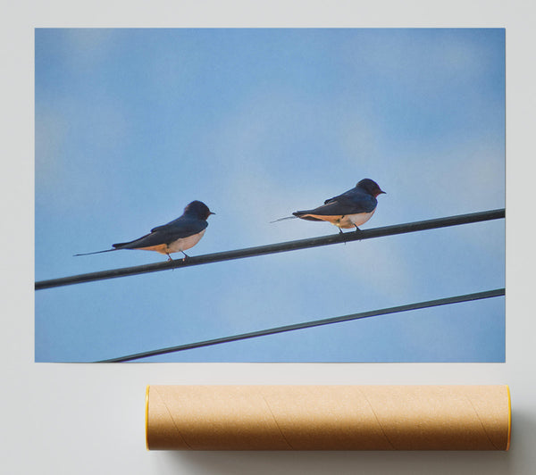 Blue Sky Swallows Giclee Print