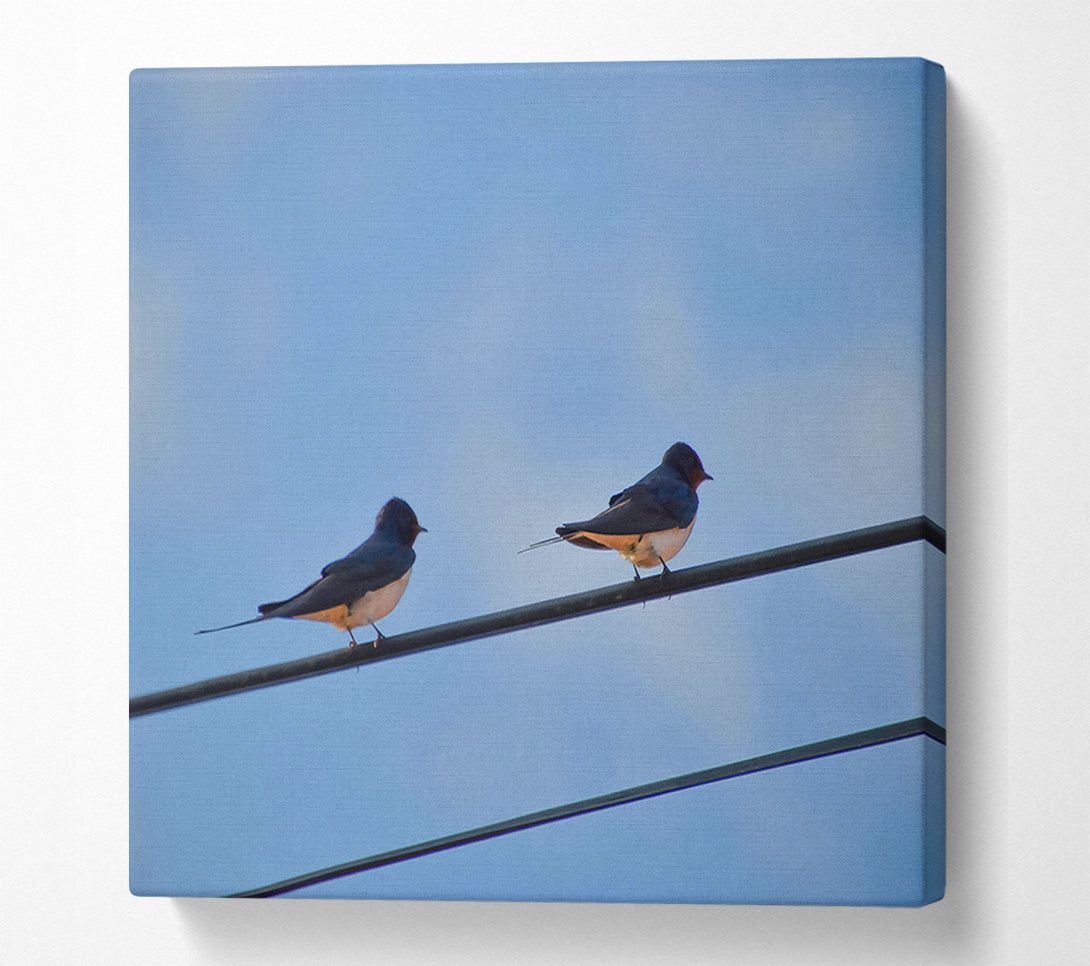  A Canvas Print of Blue Sky Swallows Canvas Print