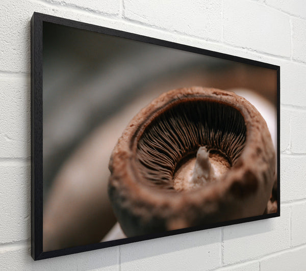 Brown Mushroom Gills