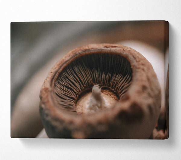  A Canvas Print of Brown Mushroom Gills Canvas Wall Art