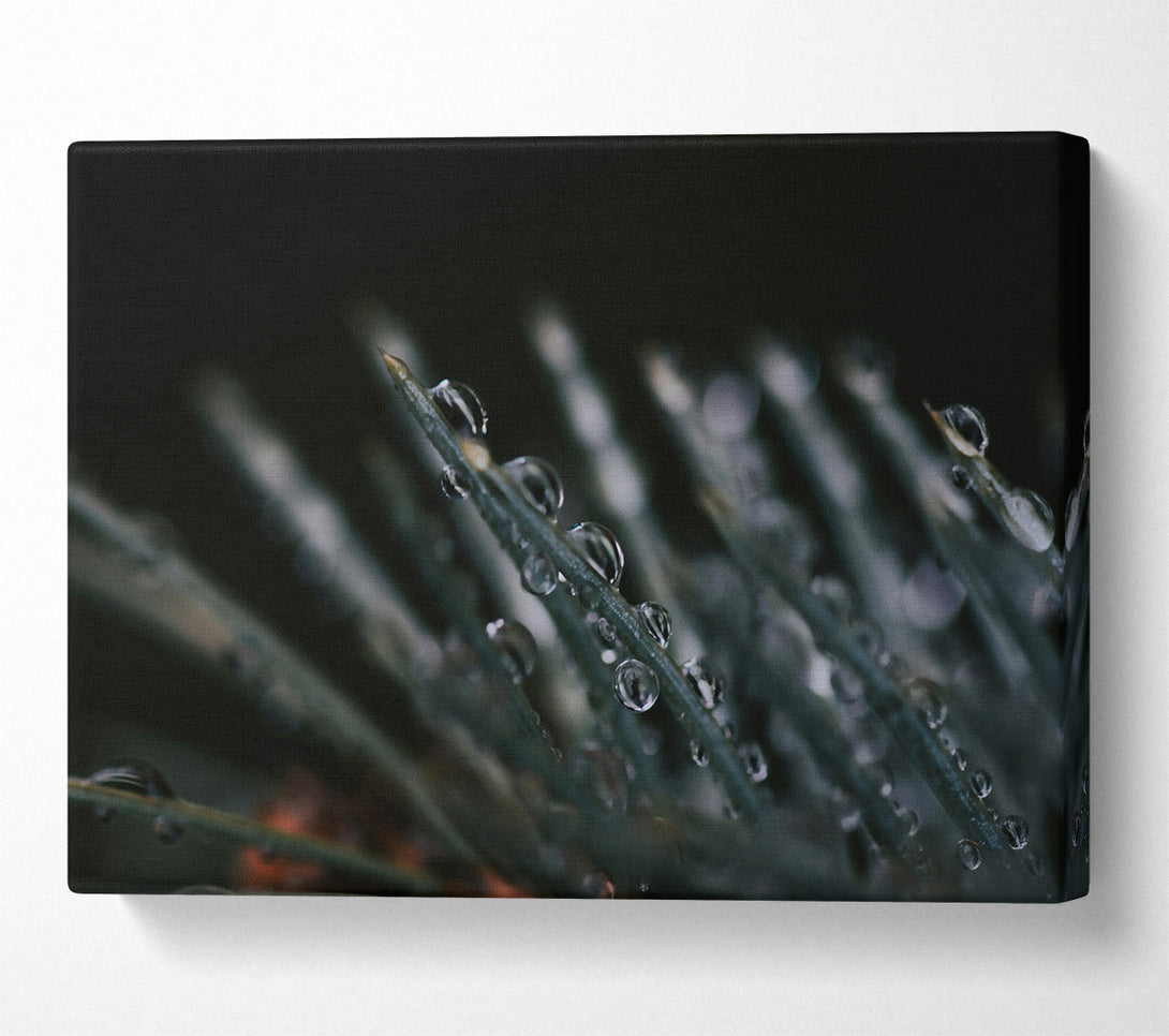  A Canvas Print of Emerald Dew Drops Canvas Wall Art