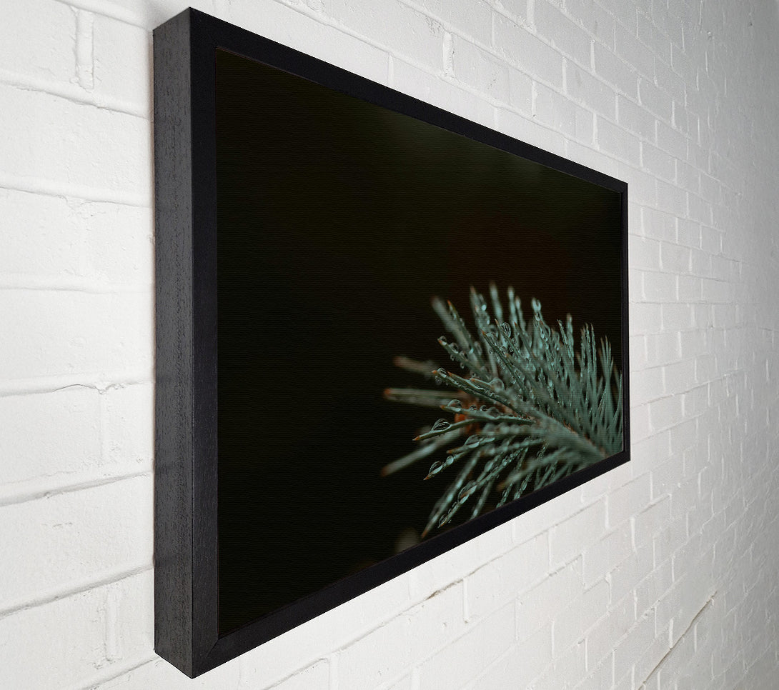  A Canvas Print of Teal Forest Dewdrops Canvas Wall Art