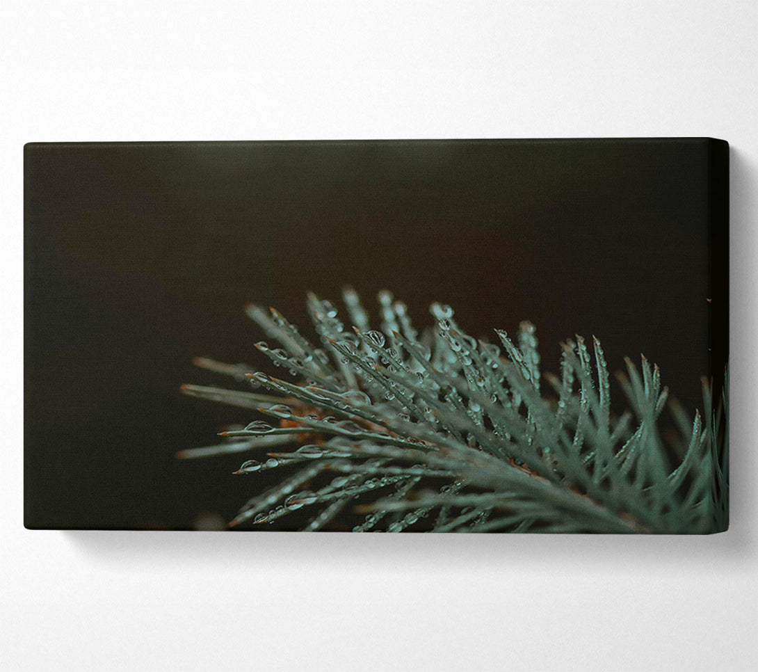  A Canvas Print of Teal Forest Dewdrops Canvas Wall Art