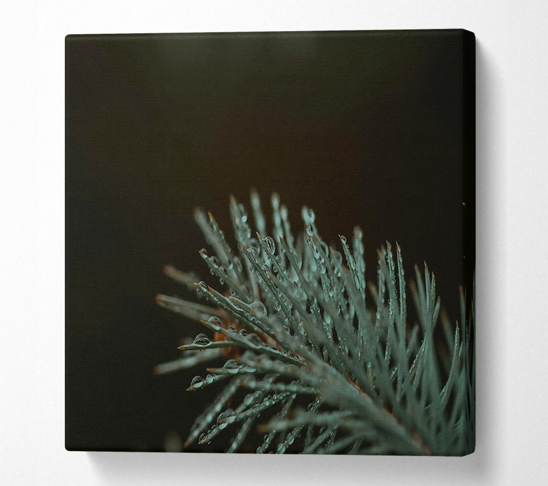  A Canvas Print of Teal Forest Dewdrops Canvas Wall Art