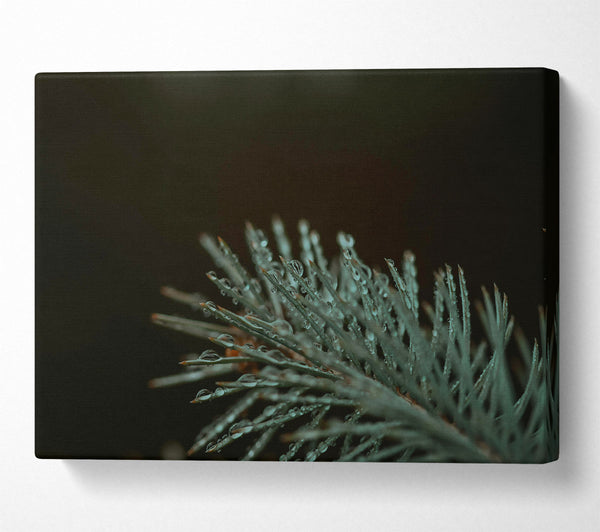  A Canvas Print of Teal Forest Dewdrops Canvas Wall Art
