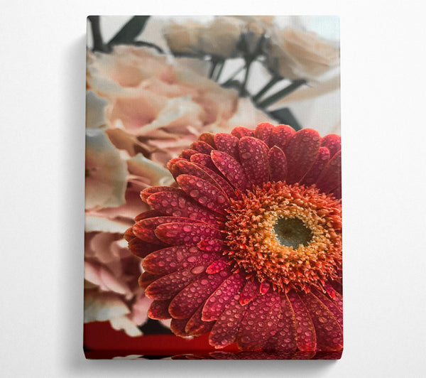  A Canvas Print of Crimson Dew Drops Canvas Print