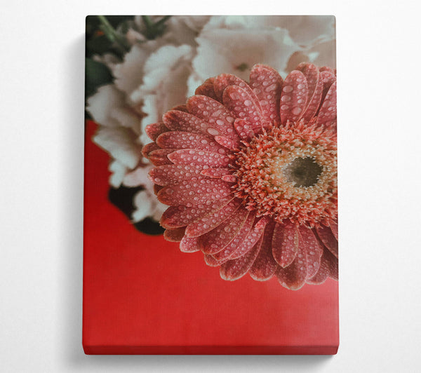  A Canvas Print of Pink Petal Dew Drops Canvas Art