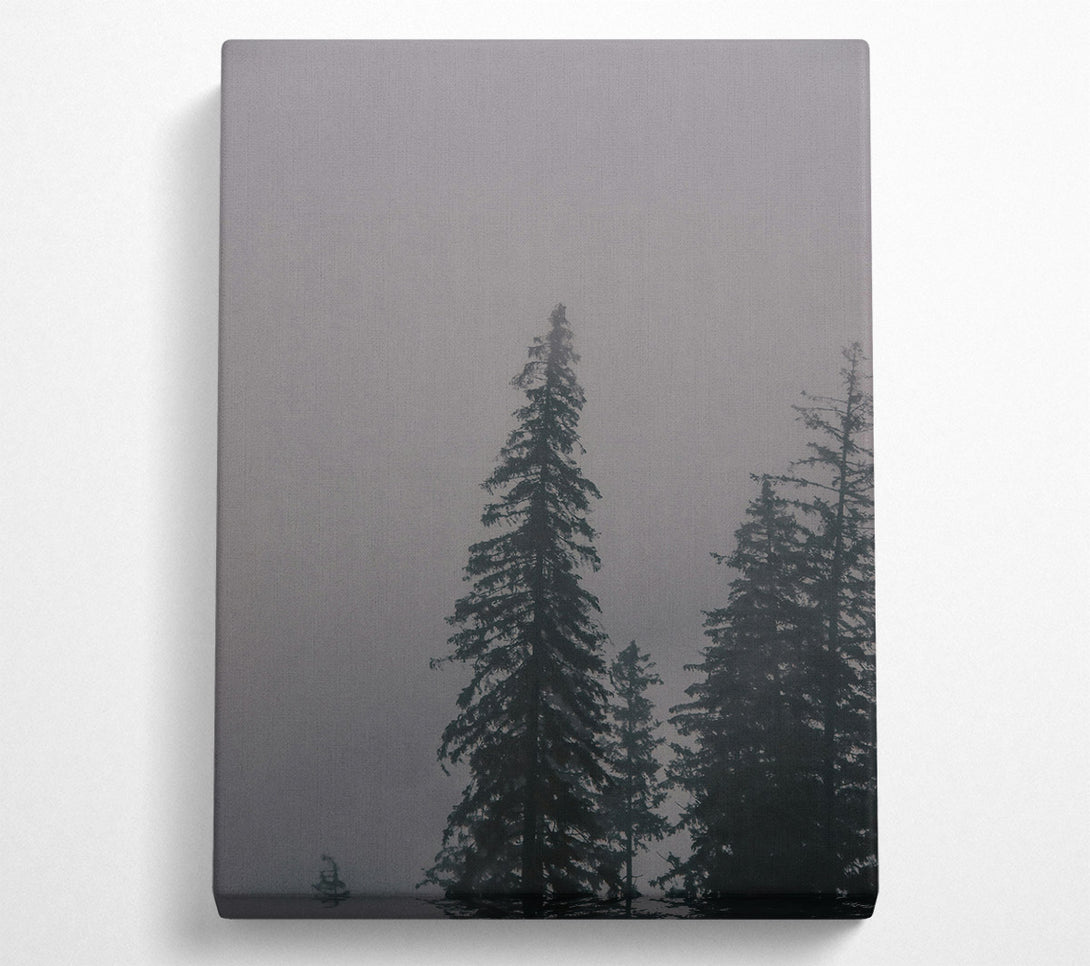  A Canvas Print of Gray Foggy Forest Canvas Art