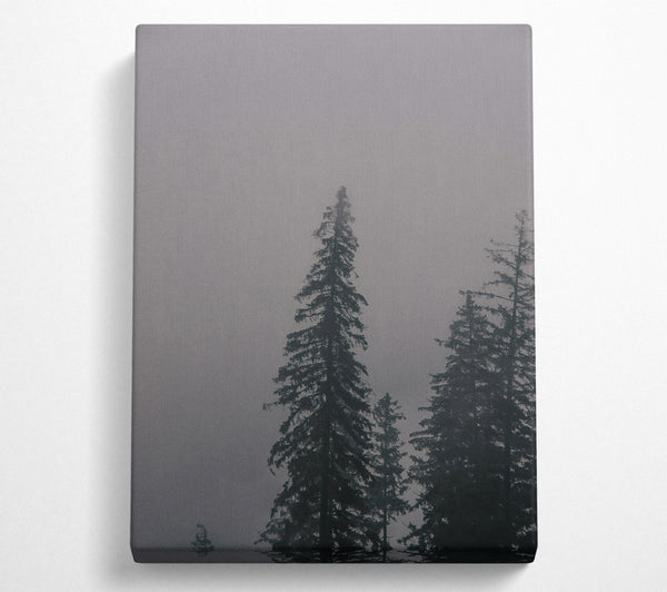  A Canvas Print of Gray Foggy Forest Canvas Art