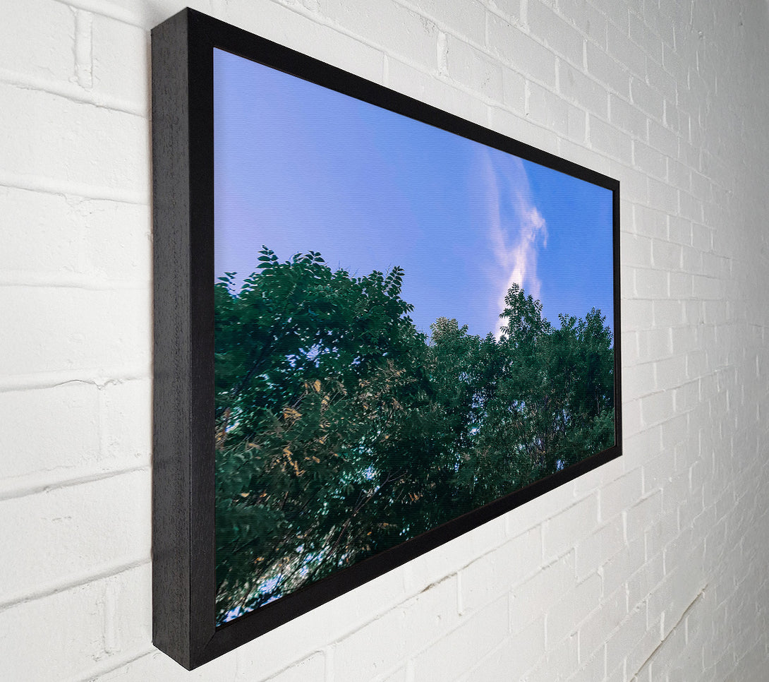  A Canvas Print of Azure Canopy Dream Canvas Print