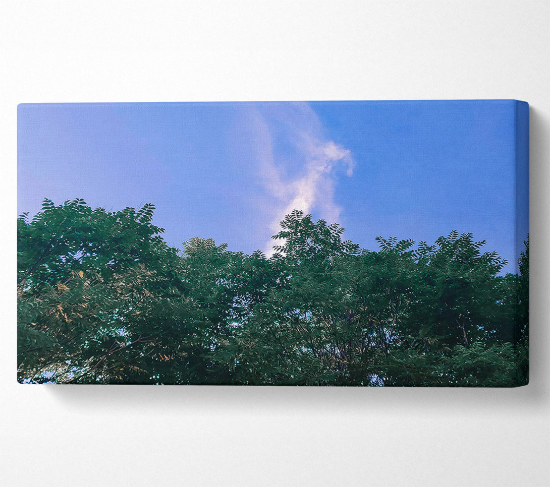  A Canvas Print of Azure Canopy Dream Canvas Print