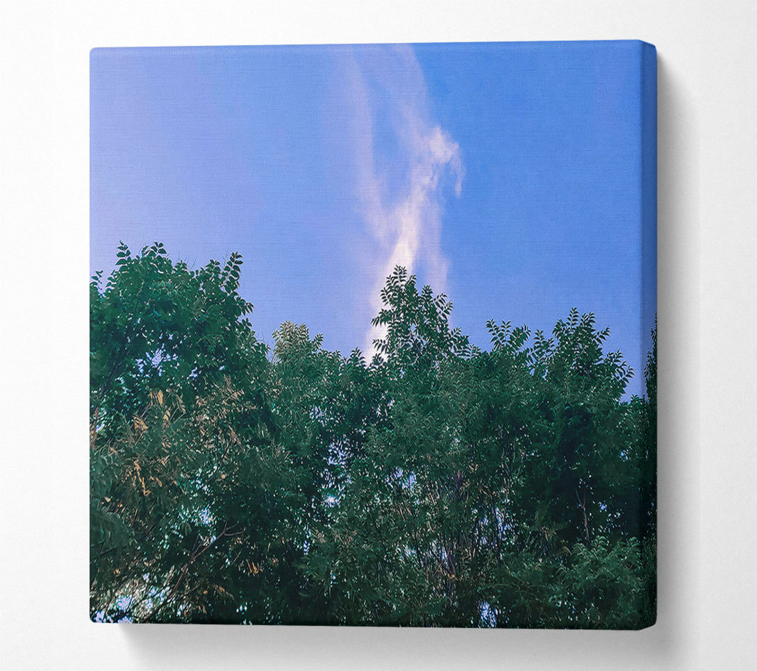  A Canvas Print of Azure Canopy Dream Canvas Print