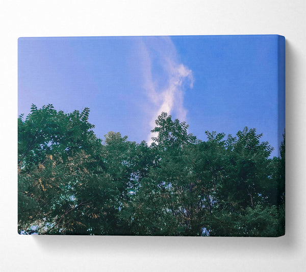  A Canvas Print of Azure Canopy Dream Canvas Print
