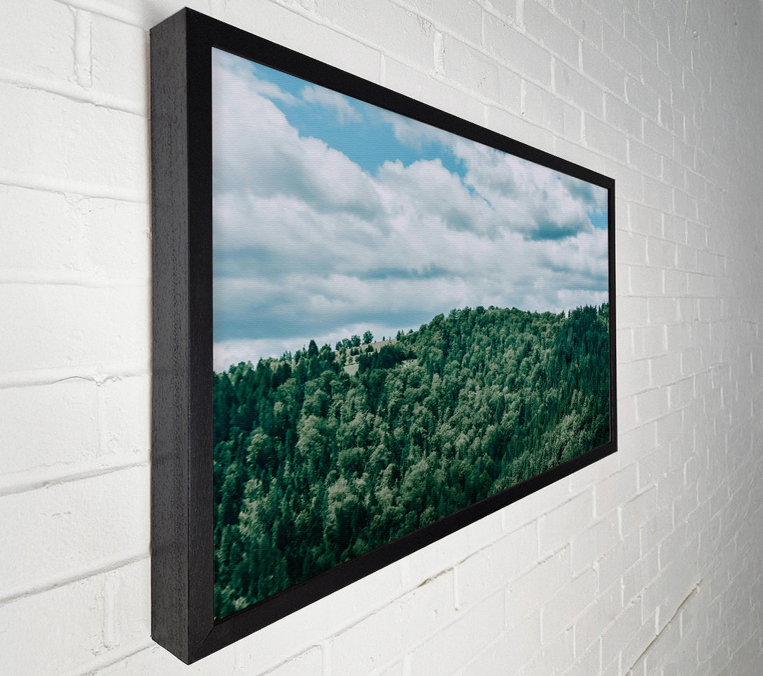  A Canvas Print of Emerald Forest Canopy Canvas Print