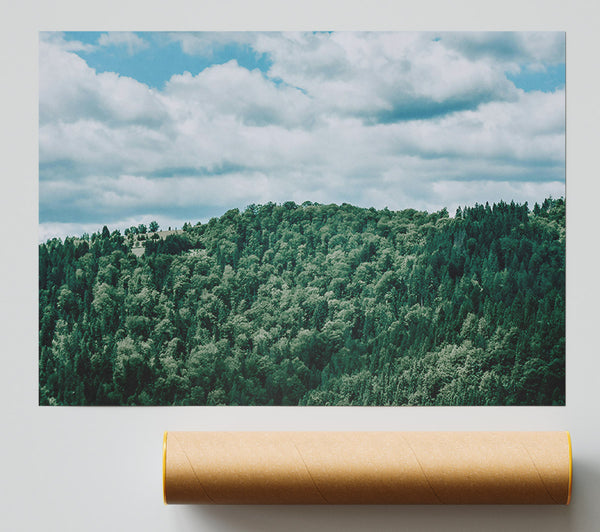 Emerald Forest Canopy Print