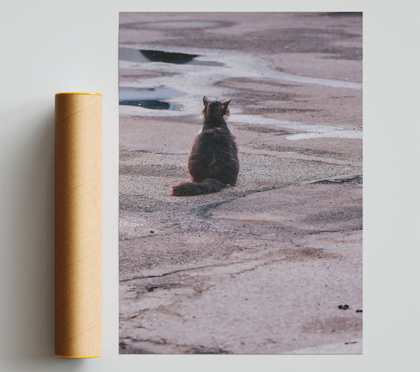 Grey Cat And Puddle Print