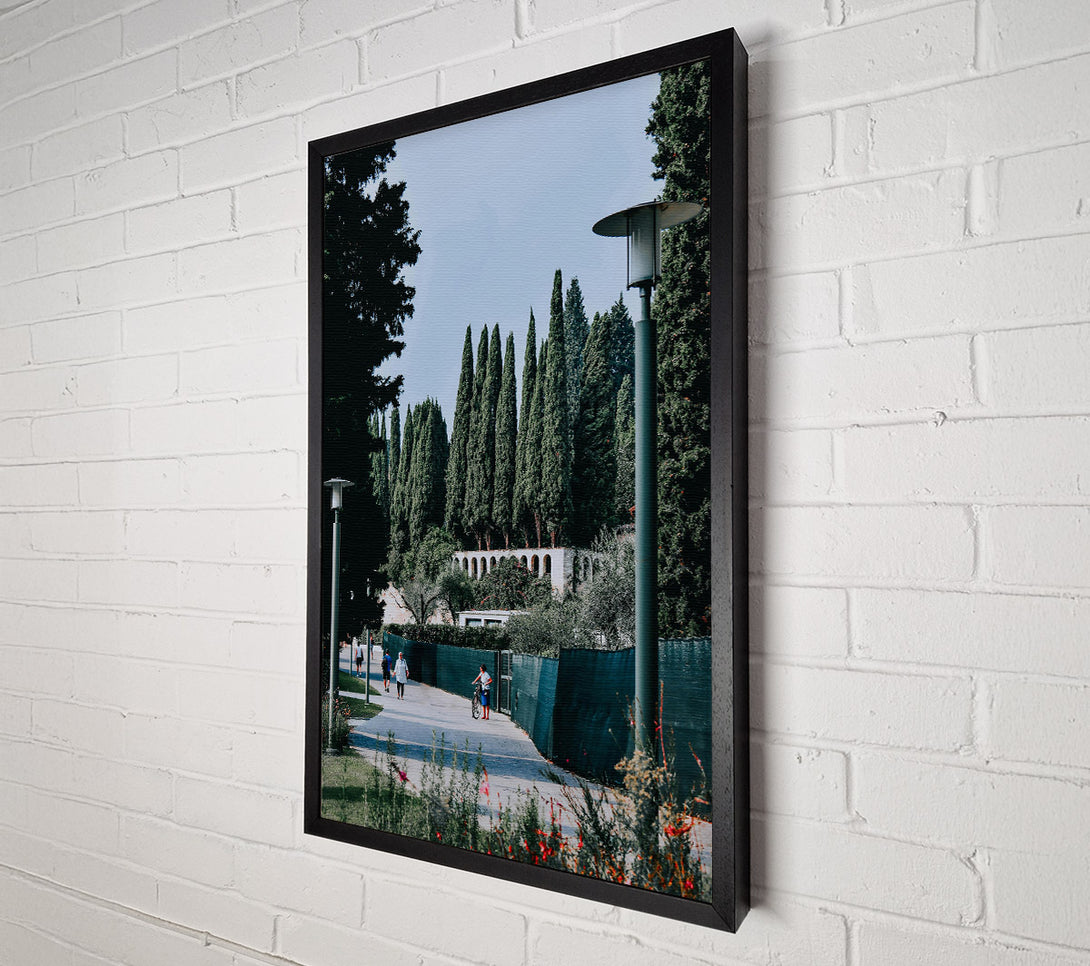  A Canvas Print of Green Cypress Path Canvas Print
