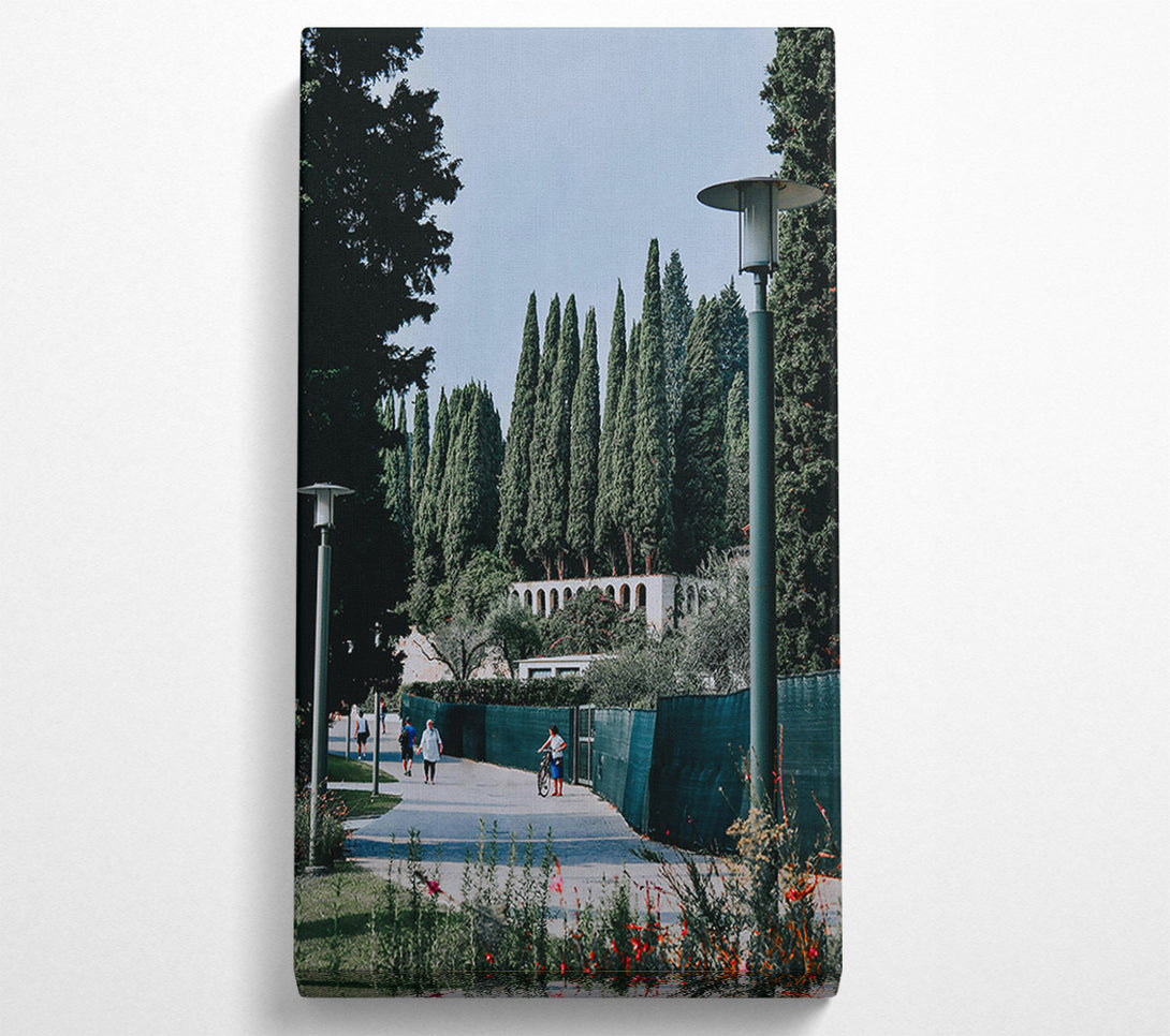  A Canvas Print of Green Cypress Path Canvas Print