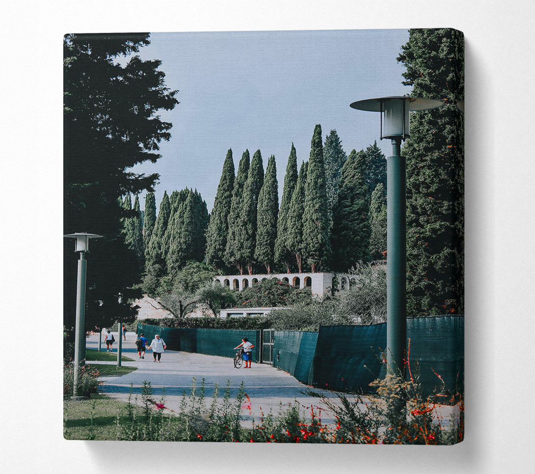  A Canvas Print of Green Cypress Path Canvas Print